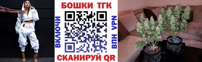 Где найти наркотики Покачи КОКАИН Гашиш
