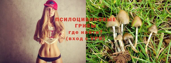 бошки Нефтегорск
