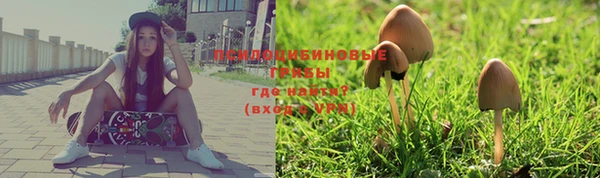 прущая мука Новодвинск