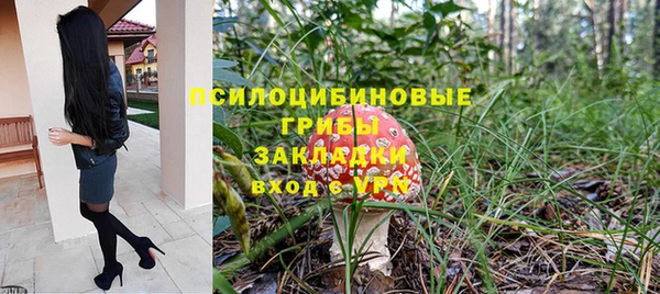 бошки Нефтегорск