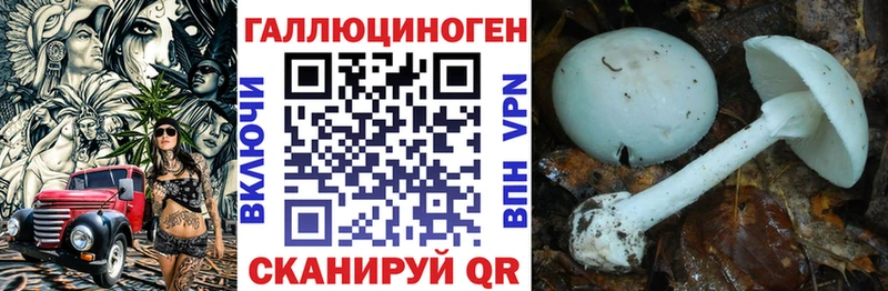 Галлюциногенные грибы прущие грибы  Покачи 